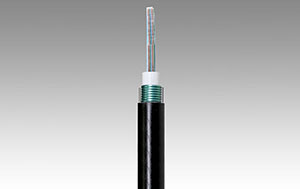  Fibre optique monomode G.652B 